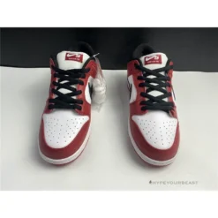 Hypeyourbeast Nike SB Dunk Low Chicago