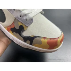 HypeYourBeast Nike Dunk Low Multi Camo