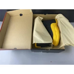 Hypeyourbeast Air Jordan 12 Retro Black 'University Gold'