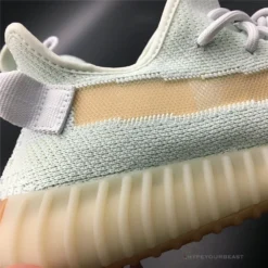 Hypeyourbeast Yeezy Boost 350 V2 'True Form'