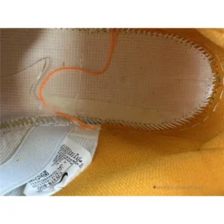 Hypeyourbeast Nike SB Dunk Low X Grateful Dead Orange Bear