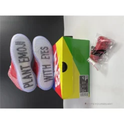 HypeYourBeast Nike Stingwater X SB Dunk Low 'Magic Mushroom'