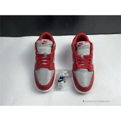 Hypeyourbeast Nike Dunk SB Low 'University Red'
