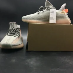 Hypeyourbeast Yeezy Boost 350 V2 'True Form'