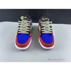 Hypeyourbeast Nike Dunk 'Viotech'