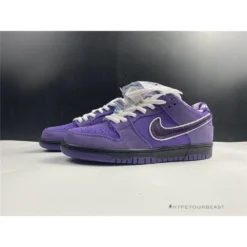Hypeyourbeast Nike SB Dunk Low 'Purple Lobster'