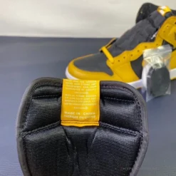 HypeYourBeast Air Jordan 1 Retro High 'Pollen'