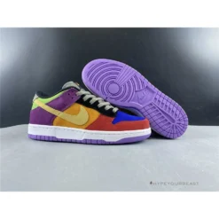 Hypeyourbeast Nike Dunk 'Viotech'