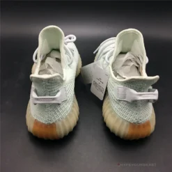 Hypeyourbeast Yeezy Boost 350 V2 'True Form'