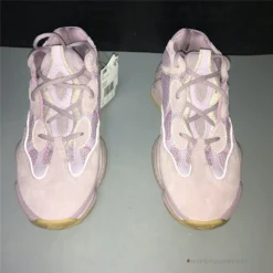 Hypeyourbeast Adidas Yeezy Boost 500 Soft Vision