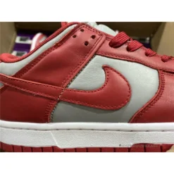 Hypeyourbeast Nike Dunk SB Low 'University Red'
