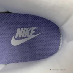 HypeYourBeast Nike Dunk Low Purple Pulse