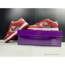 Hypeyourbeast Nike Dunk SB Low 'University Red'