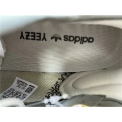 HypeYourBeast Adidas Yeezy Boost 350 V2 'Zyon' 25 HypeYourBeast Adidas Yeezy Boost 350 V2 'Zyon'