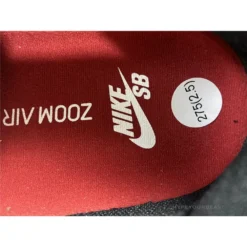 Hypeyourbeast Nike SB Dunk Low Chicago