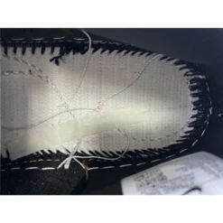 Hypeyourbeast Nike Dunk 'Viotech'