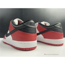 Hypeyourbeast Nike SB Dunk Low Chicago