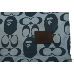 Hypeyourbeast BAPE X COACH Co-Branded Grey-Blue Hoodie