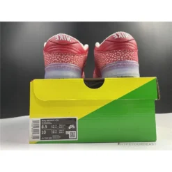 HypeYourBeast Nike Stingwater X SB Dunk Low 'Magic Mushroom'