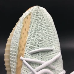 Hypeyourbeast Yeezy Boost 350 V2 'True Form'