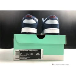 Hypeyourbeast Nike SB Dunk Low Binary Blue