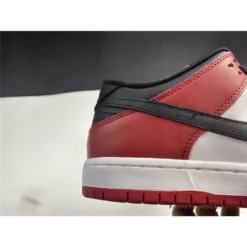 Hypeyourbeast Nike SB Dunk Low Chicago