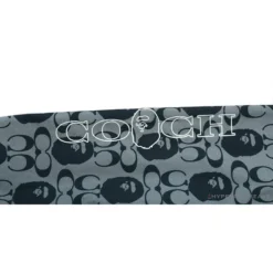 Hypeyourbeast BAPE X COACH Co-Branded Grey-Blue Hoodie