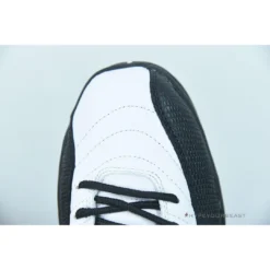 HypeYourBeast Air Jordan 12 'Royalty'