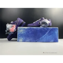 Hypeyourbeast Nike SB Dunk Low 'Purple Lobster'