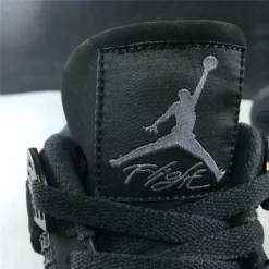 Hypeyourbeast Air Jordan 4 'Black Cat'