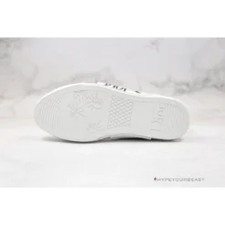 Hypeyourbeast Dior B23 High Top Shawn Bee Embroidery Patch