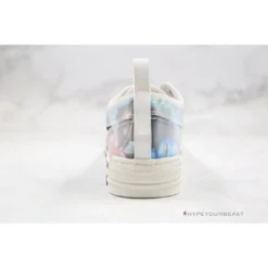 Hypeyourbeast Dior B23 Low Multi Color