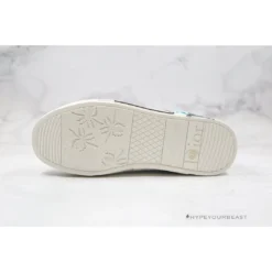 Hypeyourbeast Dior B23 Low Multi Color