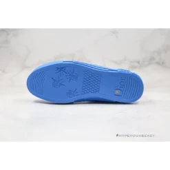 Hypeyourbeast Dior High Top Gradient Blue