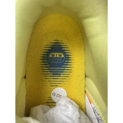 Hypeyourbeast Nike Dunk Low Premium SB “New Castle”