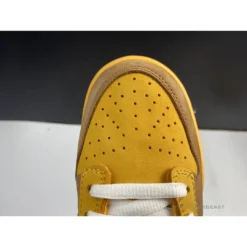 Hypeyourbeast Nike Dunk Low Premium SB “New Castle”