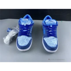 Hypeyourbeast Nike SB Dunk Low 'Stangelove Blue'