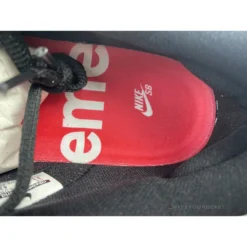 Hypeyourbeast Supreme X Nike SB Dunk Low Red Cement