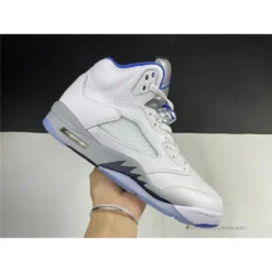 HypeYourBeast Air Jordan 5 Retro Stealth 2