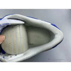 Hypeyourbeast Nike Dunk Low SB 'Kentucky'