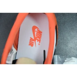 HypeYourBeast Nike Dunk Low Starfish