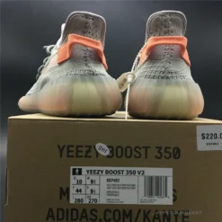 Hypeyourbeast Yeezy Boost 350 V2 'True Form'