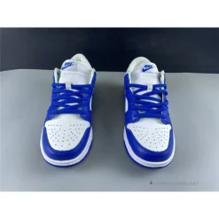 Hypeyourbeast Nike Dunk Low SB 'Kentucky'