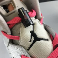 HypeYourBeast Air Jordan 6 Retro SP 'Reflections Of A Champion'