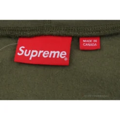 HypeYourBeast Supreme Cross Box Logo Hoodie Green