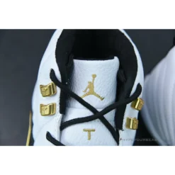 HypeYourBeast Air Jordan 12 'Royalty'