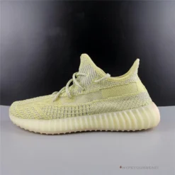 Hypeyourbeast Adidas Yeezy Boost 350 V2 'Antlia' 33 Hypeyourbeast Adidas Yeezy Boost 350 V2 'Antlia'