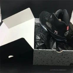 Hypeyourbeast Jordan 5 Retro Paris Saint-Germain