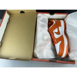 Hypeyourbeast Nike Dunk Low 'Syracuse'