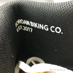 Hypeyourbeast Nigel Sylvester X Air Jordan 1 Retro High OG 'Nigel Sylvester' 43 Hypeyourbeast Nigel Sylvester X Air Jordan 1 Retro High OG 'Nigel Sylvester'